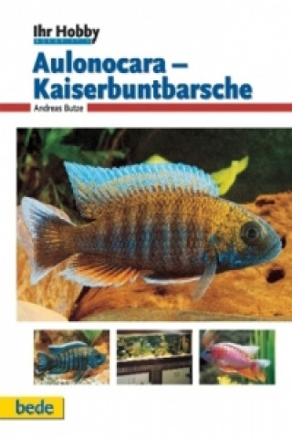 Aulonocara - Kaiserbuntbarsche
