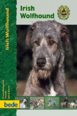 Irish Wolfhound