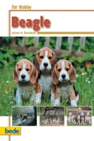 Ihr Hobby Beagle