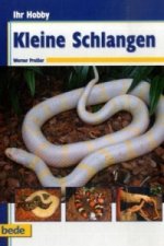 Ihr Hobby Kleine Schlangen