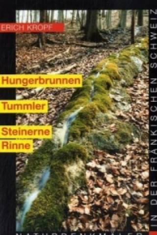 Hungerbrunnen, Tummler, Steinerne Rinne