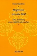 Beginne, wo du bist