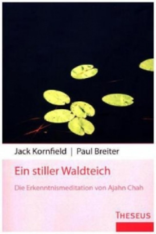 Ein stiller Waldteich