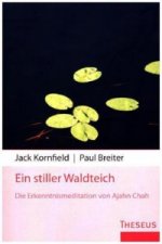Ein stiller Waldteich