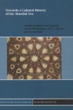 Towards a Cultural History of the Mamluk Era