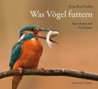 Was Vögel futtern