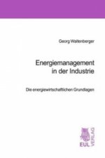 Energiemanagement in der Industrie