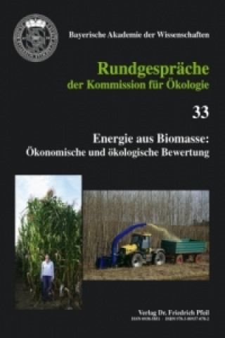 Energie aus Biomasse: Ökonomische und ökologische Bewertung