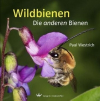 Wildbienen