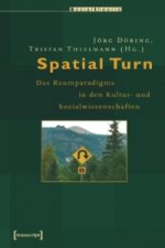 Spatial Turn