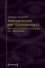 Ambivalenzen der Sichtbarkeit