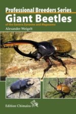 Giant Beetles of the Genera Dynastes and Megasoma, englische Ausgabe