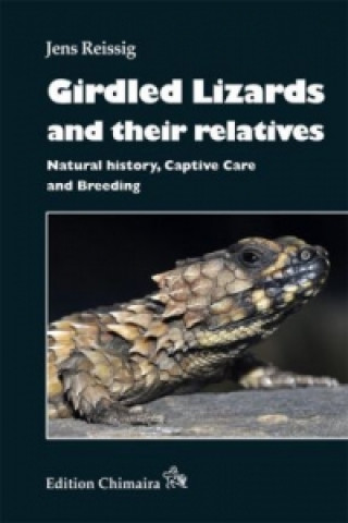 Girdled and Crag Lizards