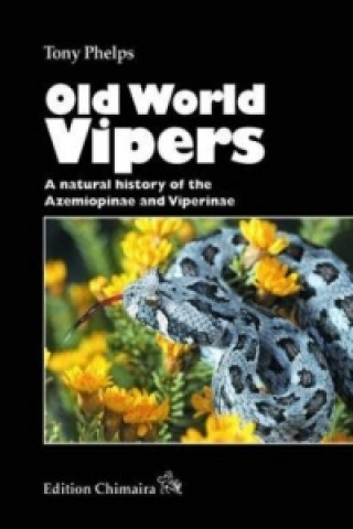 Old World Vipers