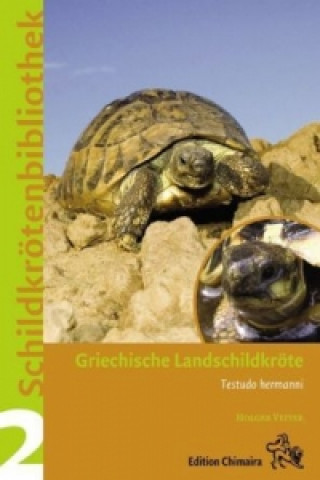 Griechische Landschildkröte