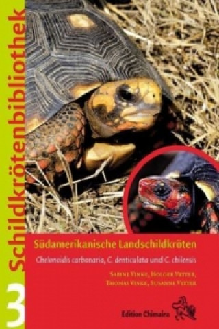 Südamerikanische Landschildkröten