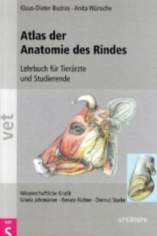 Atlas der Anatomie des Rindes. Atlas der Anatomie des Rindes, Supplement, 2 Bde.