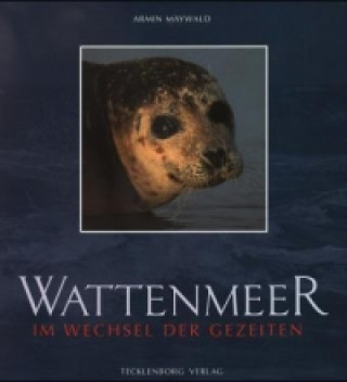 Wattenmeer