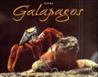 Galapagos