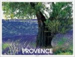 Provence 2021