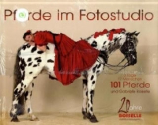 Pferde im Fotostudio