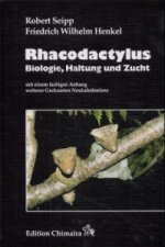 Rhacodactylus