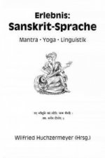 Erlebnis Sanskrit-Sprache