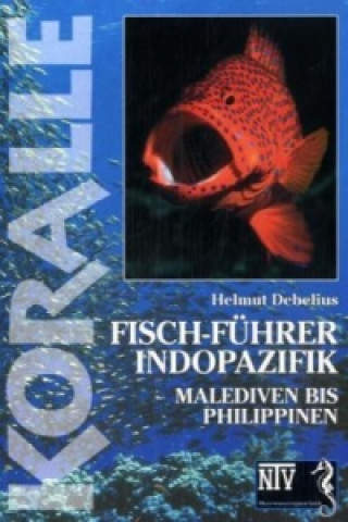 Fisch-Führer Indopazifik
