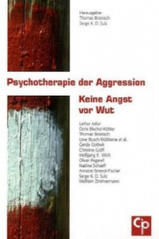 Psychotherapie der Aggression