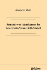 Struktur von Atomkernen im Relativistic-Mean-Field-Modell