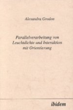 Parellelverarbeitung von Leuchtdichte und Interaktion mit Orientierung