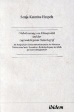 Globalisierung von Klimapolitik und der zugrundeliegende Naturbegriff
