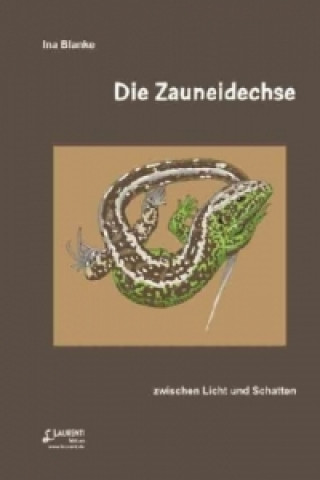 Die Zauneidechse zwischen Licht und Schatten