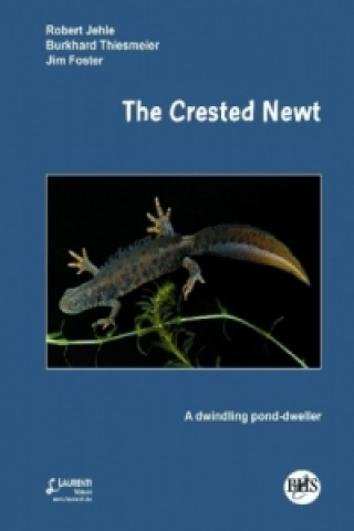 The Crested Newt