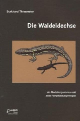 Die Waldeidechse