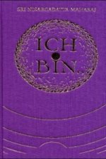 Ich bin.... Gespräche mit einem Erleuchteten. Tl.1
