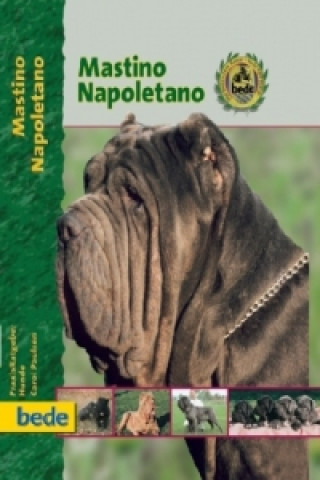 Mastino Napoletano