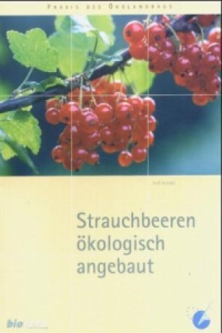 Strauchbeeren ökologisch angebaut