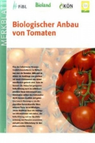 Biologischer Anbau von Tomaten