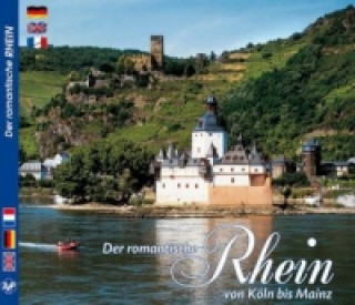 Romantische RHEINFAHRT - Expedition ins Mittelalter