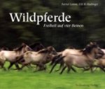 Dülmener Wildpferde