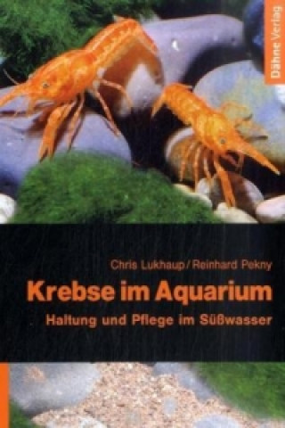 Krebse im Aquarium