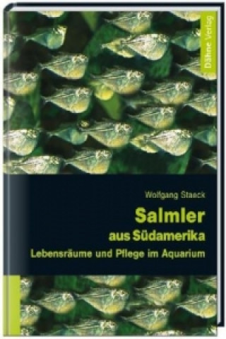 Salmler aus Südamerika