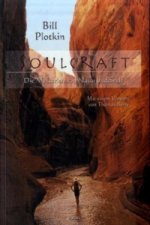 Soulcraft