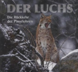 Der Luchs