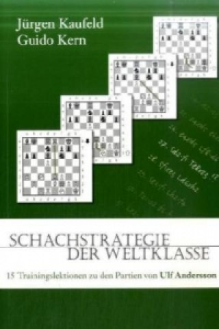 Schachstrategie der Weltklasse