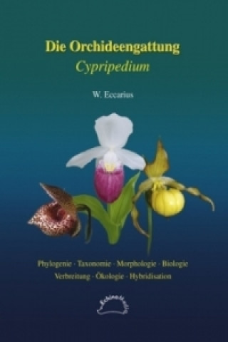 Die Orchideengattung Cypripedium