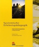 Systemische Erlebnispädagogik