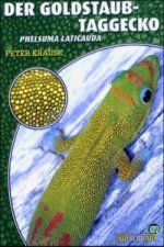 Der Goldstaub-Taggecko