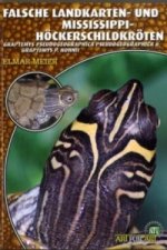 Falsche Landkarten- und Mississippi-Höckerschildkröten